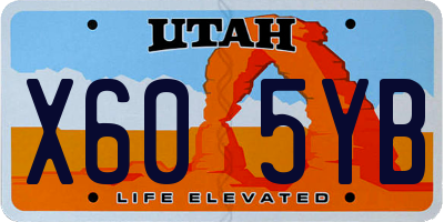 UT license plate X605YB