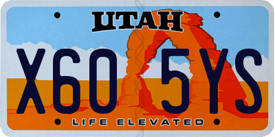 UT license plate X605YS