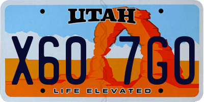 UT license plate X607GO
