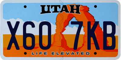 UT license plate X607KB