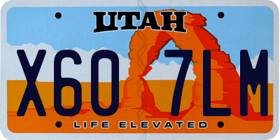 UT license plate X607LM