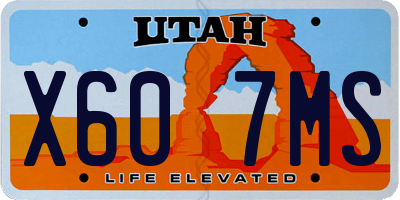 UT license plate X607MS