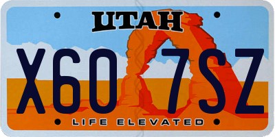 UT license plate X607SZ