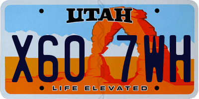 UT license plate X607WH