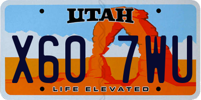 UT license plate X607WU