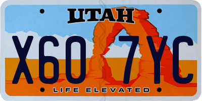 UT license plate X607YC