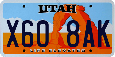 UT license plate X608AK