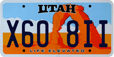 UT license plate X608II