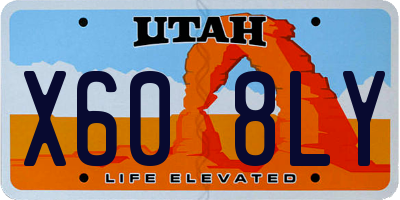 UT license plate X608LY