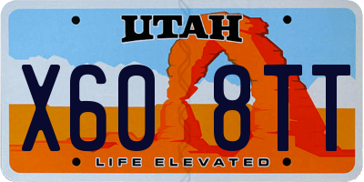 UT license plate X608TT