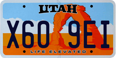 UT license plate X609EI
