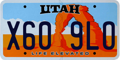 UT license plate X609LO