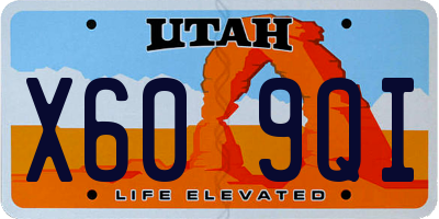 UT license plate X609QI