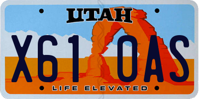 UT license plate X610AS