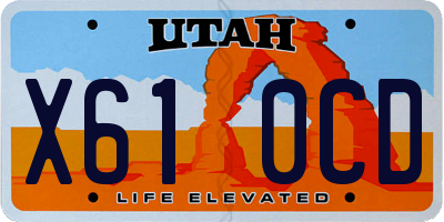 UT license plate X610CD