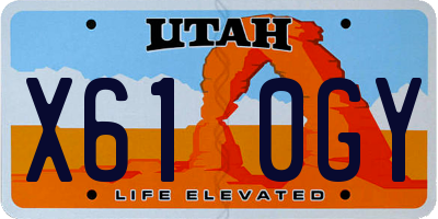 UT license plate X610GY