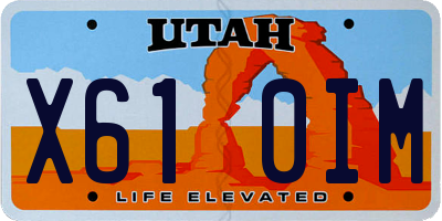 UT license plate X610IM