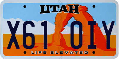 UT license plate X610IY