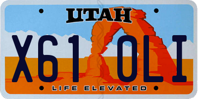 UT license plate X610LI