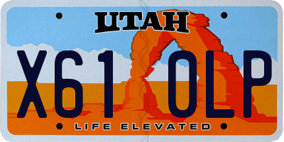 UT license plate X610LP