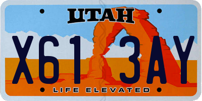 UT license plate X613AY