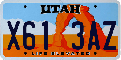 UT license plate X613AZ