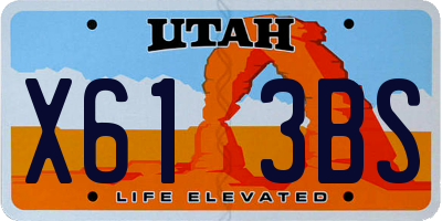 UT license plate X613BS