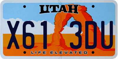 UT license plate X613DU