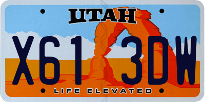 UT license plate X613DW