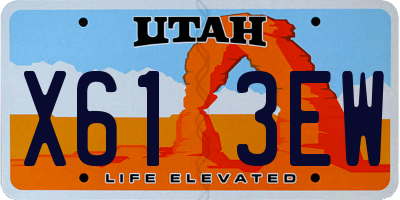 UT license plate X613EW