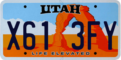 UT license plate X613FY