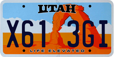 UT license plate X613GI
