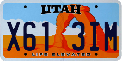 UT license plate X613IM
