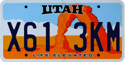 UT license plate X613KM