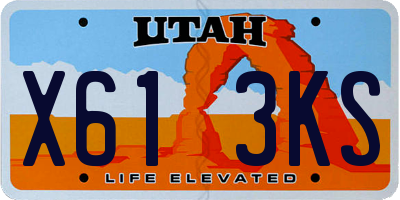 UT license plate X613KS