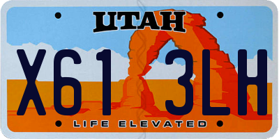 UT license plate X613LH
