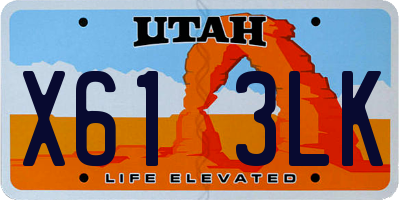 UT license plate X613LK