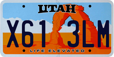 UT license plate X613LM
