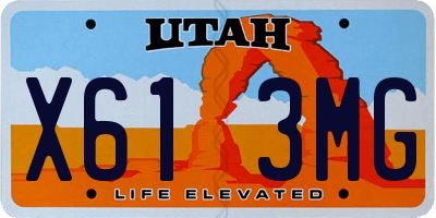 UT license plate X613MG