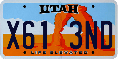 UT license plate X613ND