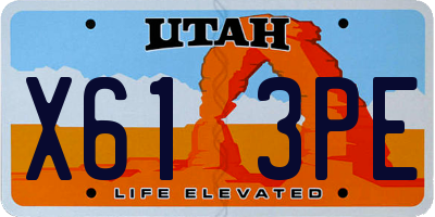 UT license plate X613PE