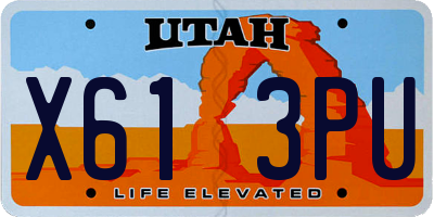 UT license plate X613PU