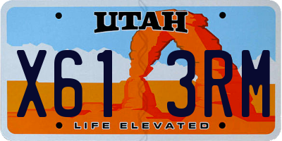UT license plate X613RM