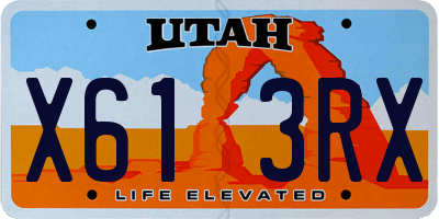 UT license plate X613RX