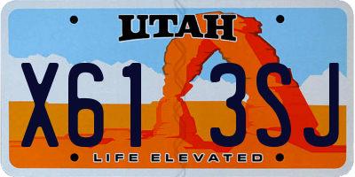 UT license plate X613SJ