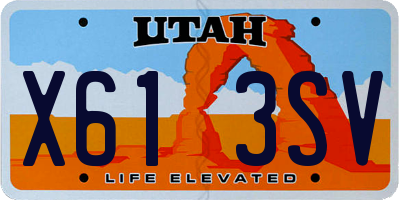UT license plate X613SV