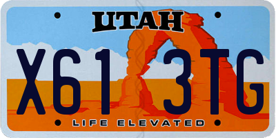 UT license plate X613TG