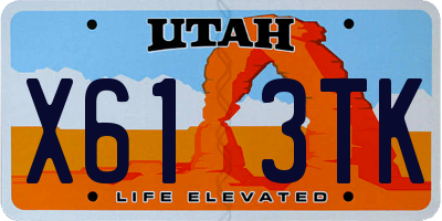UT license plate X613TK