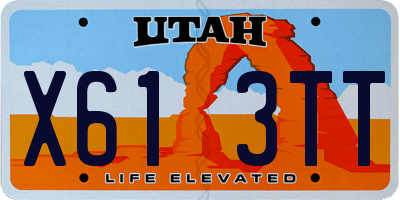UT license plate X613TT