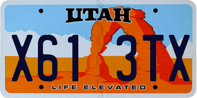 UT license plate X613TX